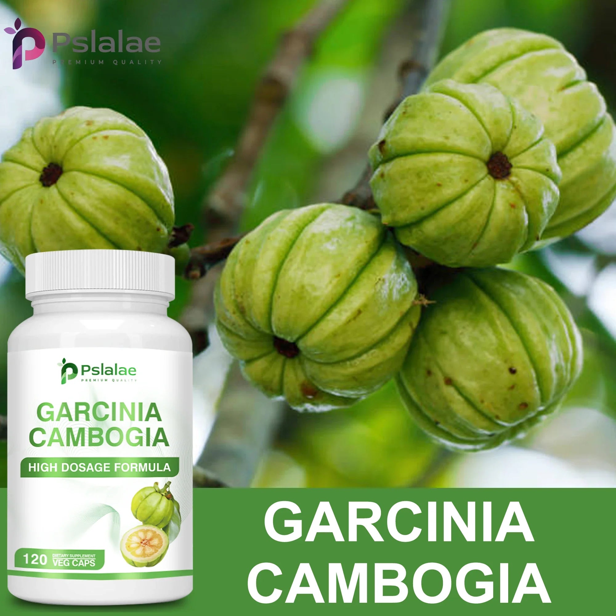 Garcinia Cambogia Health Supplement Appetite Suppression Metabolism Boost Energy Replenishment Colon Cleansing 120 Capsules