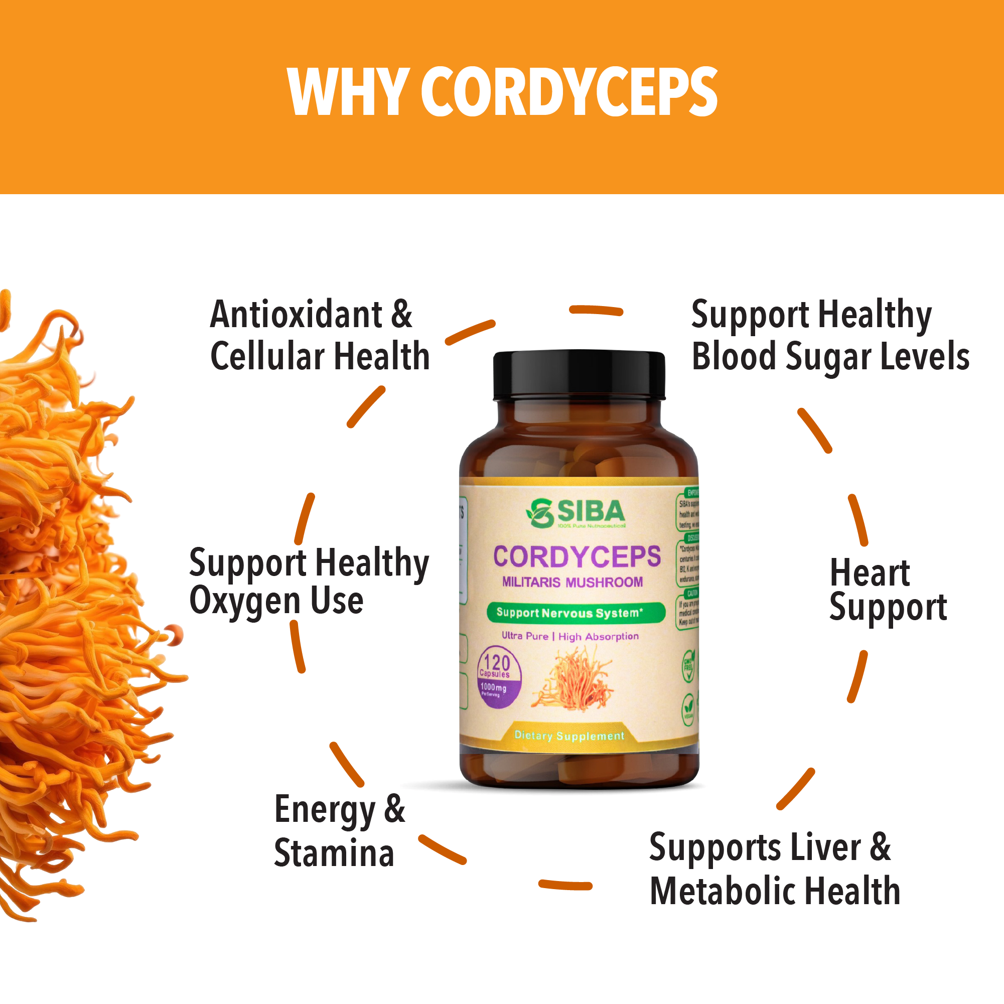 Cordyceps Mushroom Capsules
