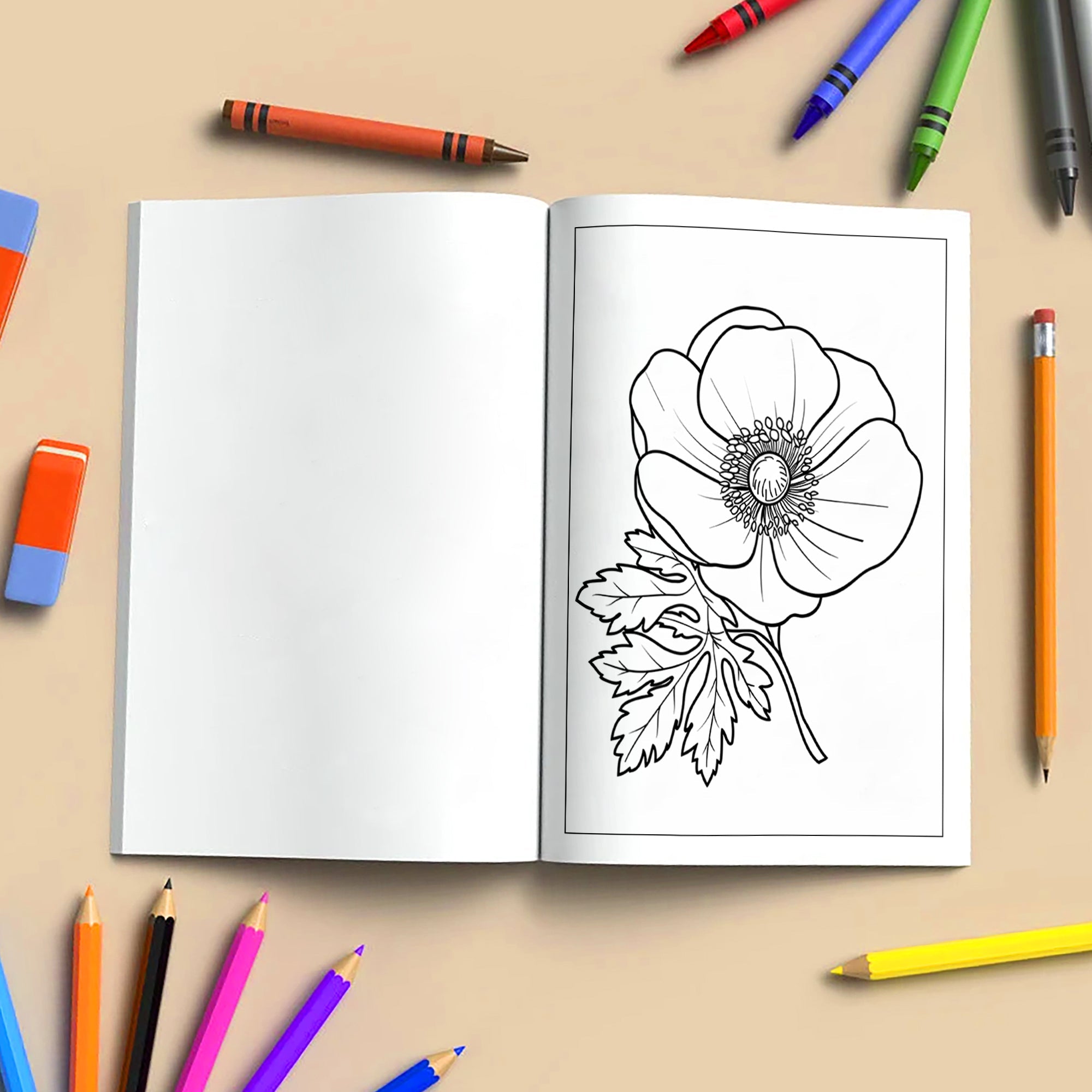 Garden Joy Spring Coloring Pages – 48 Pages – Lovely Flowers, Fresh Garden Designs, Spring Art – For Adults