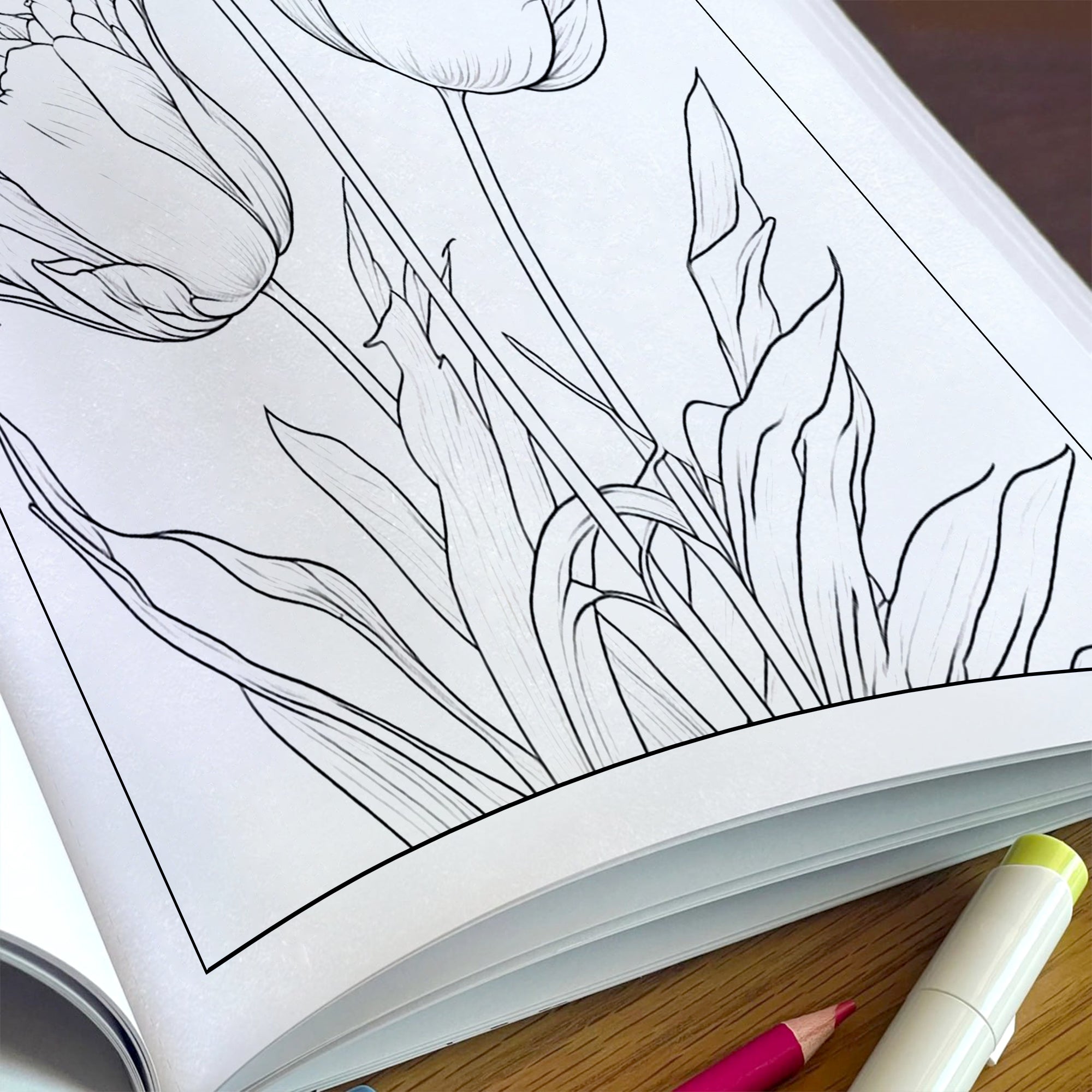 Tulip Serenity Coloring Pages – 48 Pages – Floral Art, Elegant Tulips, Botanical Designs – For Adults