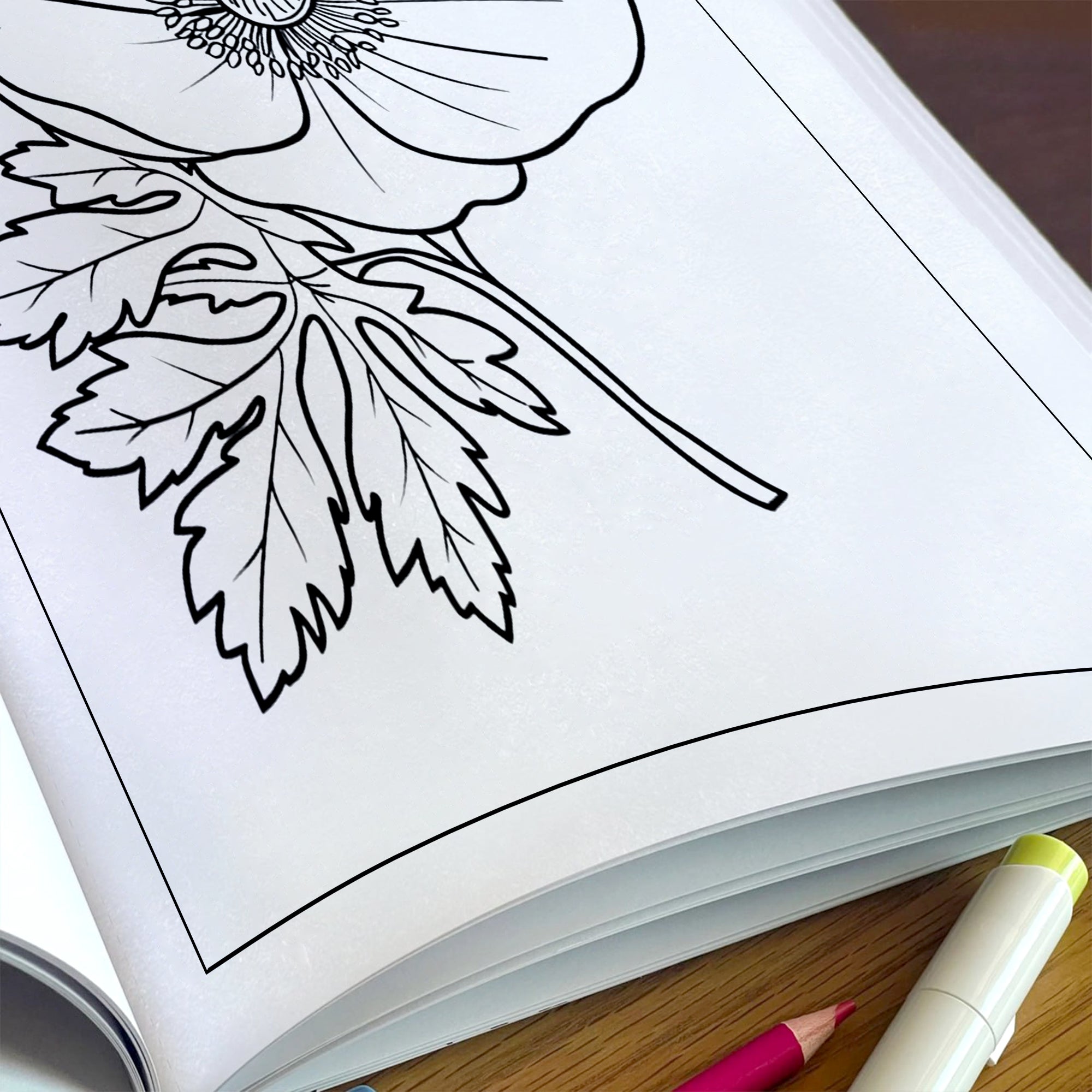 Garden Joy Spring Coloring Pages – 48 Pages – Lovely Flowers, Fresh Garden Designs, Spring Art – For Adults