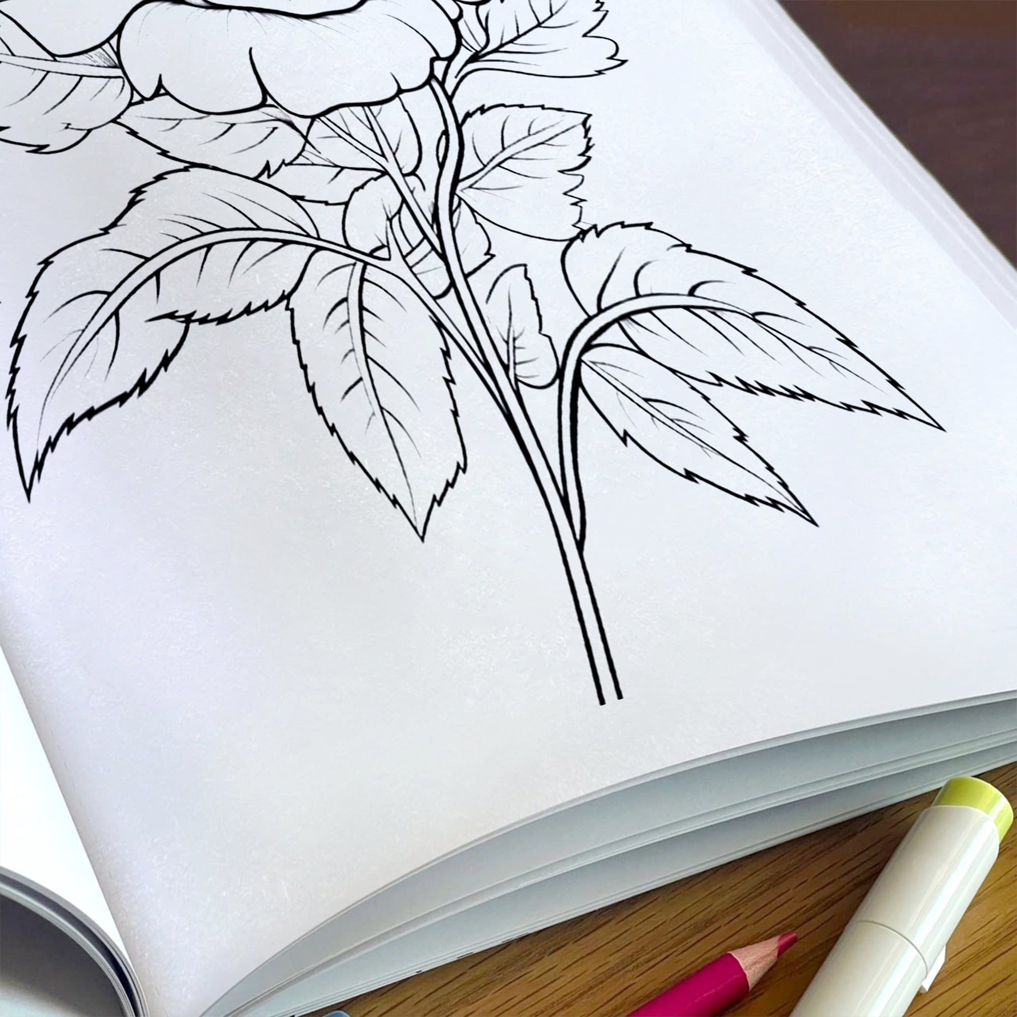 Floral Bliss Coloring Pages – 48 Elegant Botanical Designs for Adults