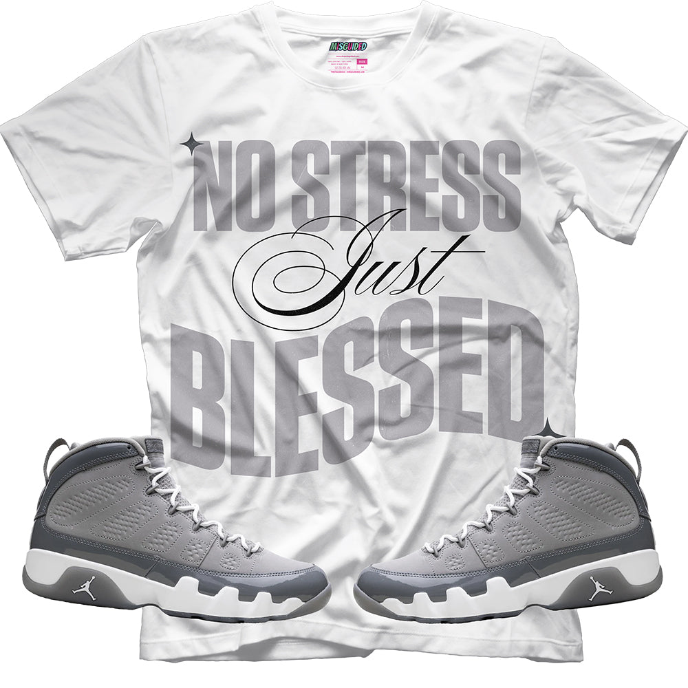 No Stress Just Blessed (Air Jordan 9 Cool Grey) T-Shirt