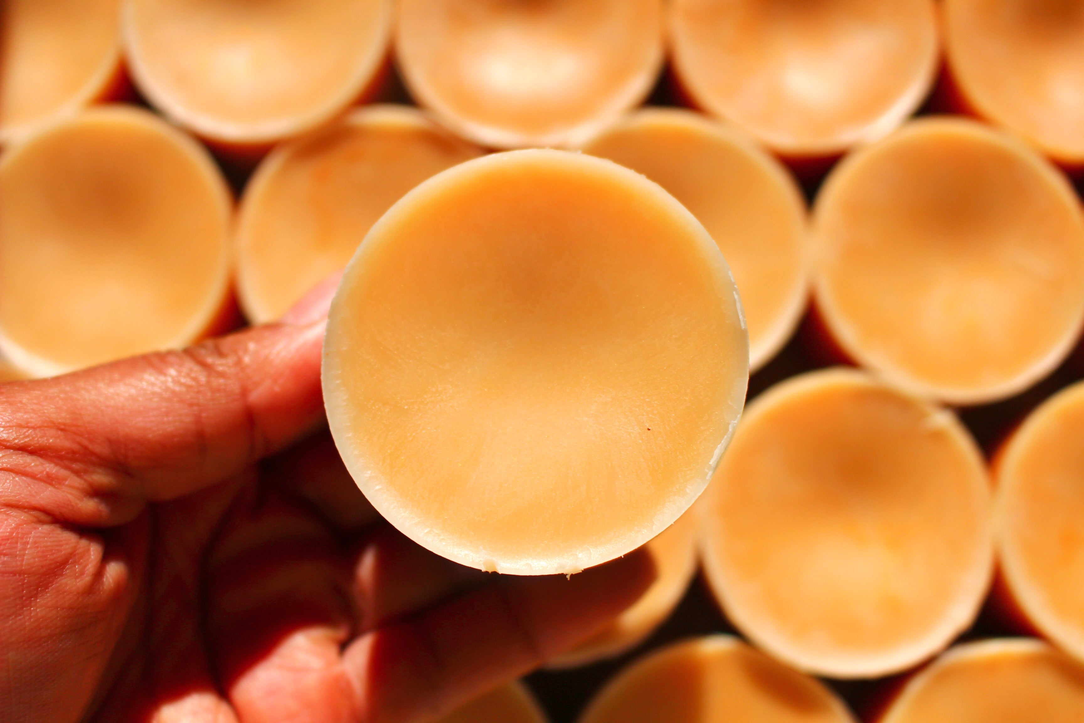 Oat, Milk, & Honey Conditioner Bar